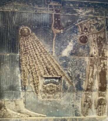 Teto do céu estrelado no templo de Dendera, representando Nut, deusa do céu e da sabedoria cósmica.